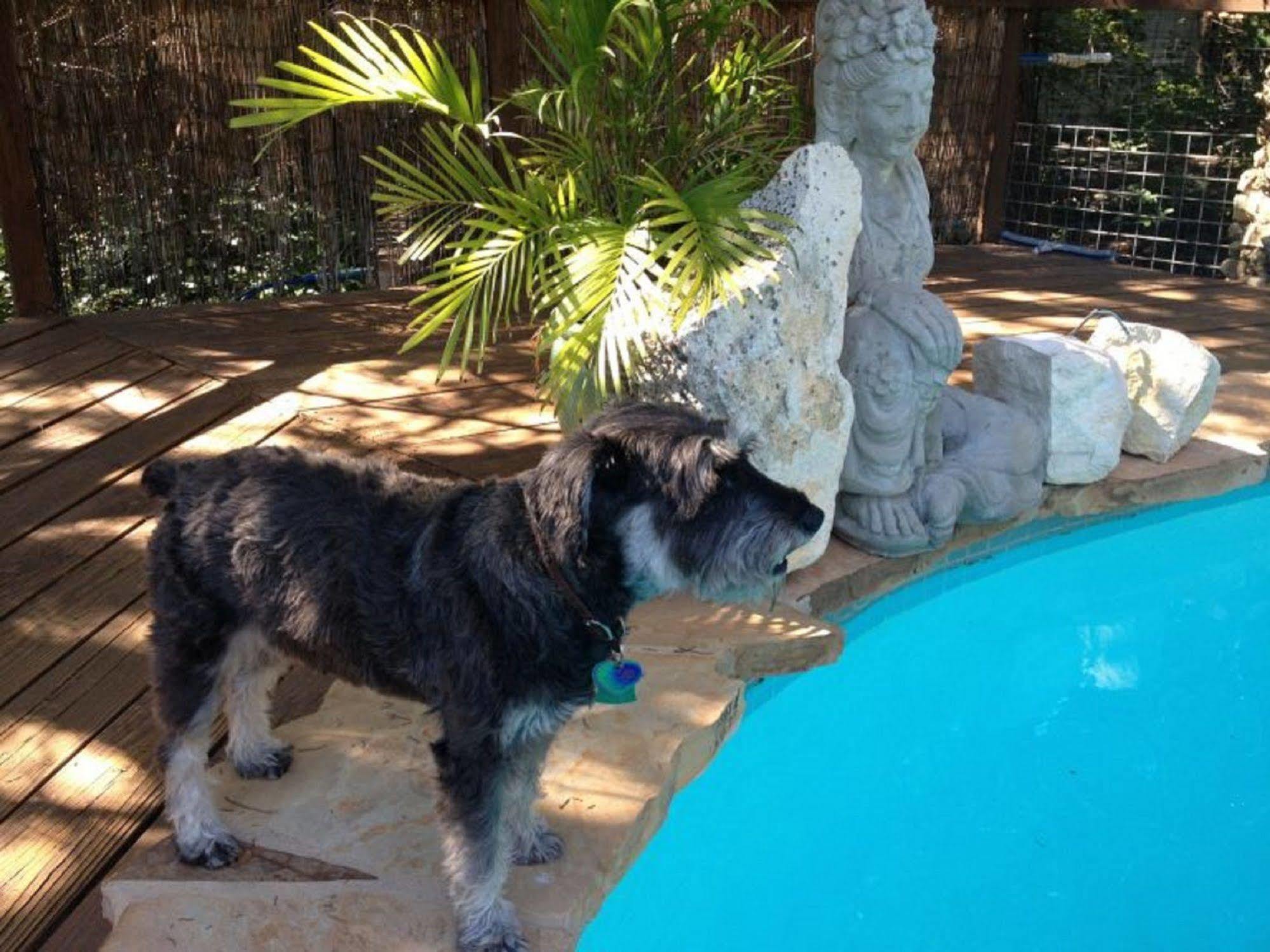Bed & Breakfast Casa Del Sol
