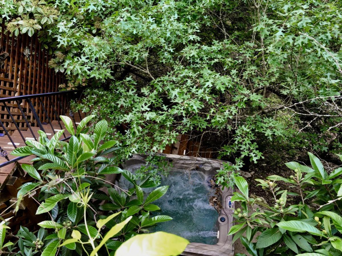 Casa Del Sol Bed & Breakfast